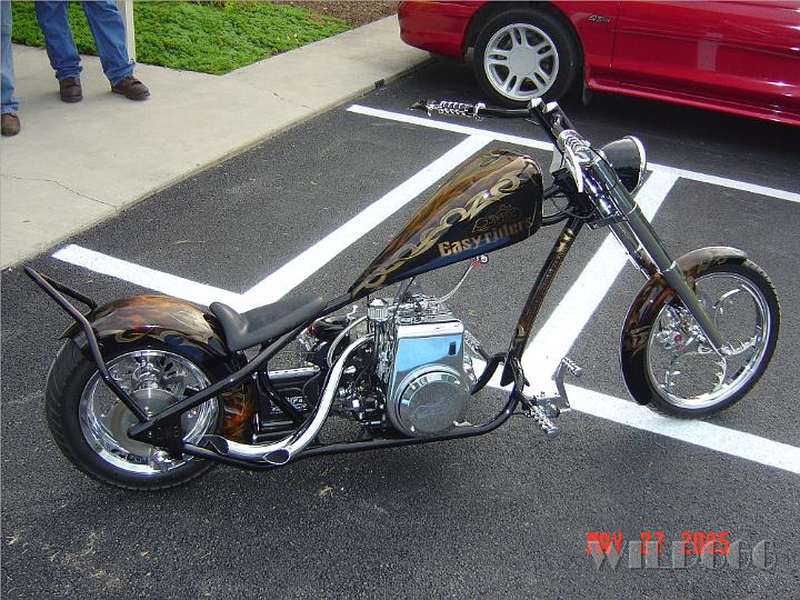 easyrider_.jpg